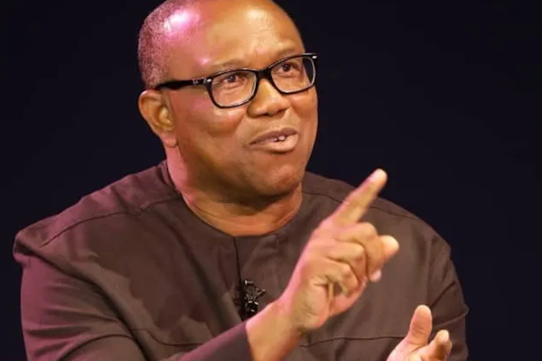 Next Foods Fault Ownership Claim Of Peter Obi Family Property